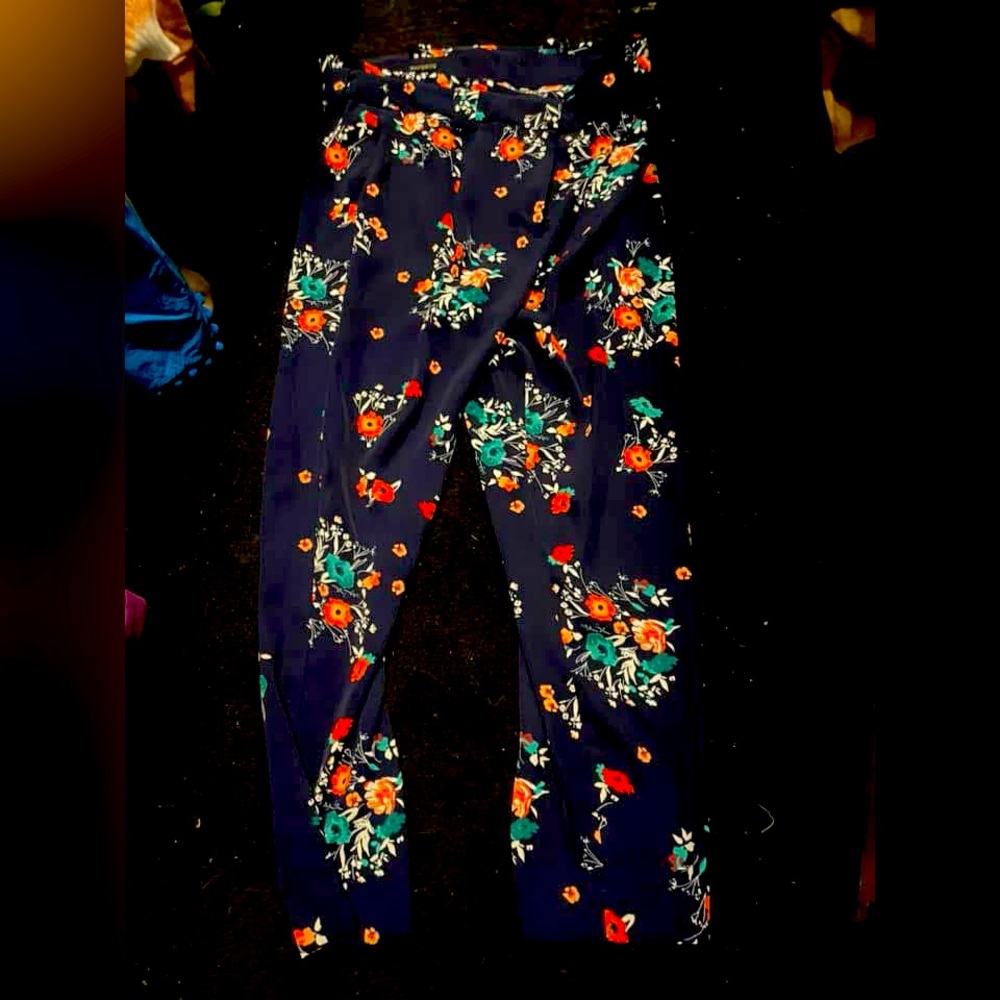 Express dress pants